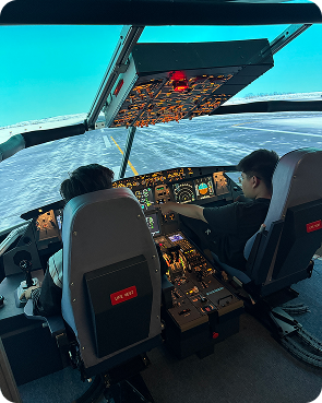 Flight Experience